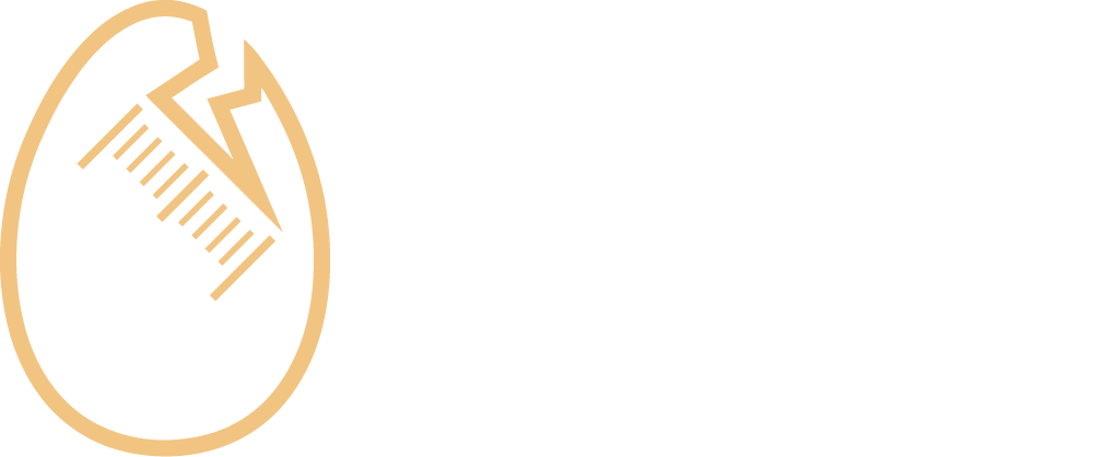 Studio Celsy